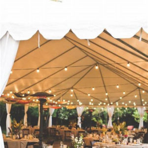 Luxury Color Elegant Wedding Indoor Tent