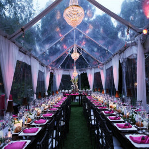 Luxury Clear Span Structure Event Aluminum Tent