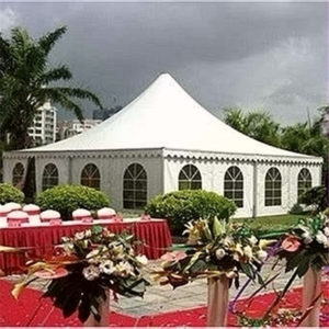 Geodesic Dome Tent